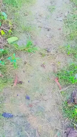 দিস ইজ মাইটিটিউট