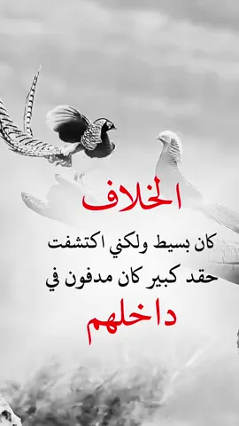 سبحان من يعلم الغيب#explore #اكسبلورexplore❥🕊🦋💚 #اكسبلورررررررررررررررررررر💥🌟💥🌟💥💥🌟🌟🌟🌟🌟 #اكسبلورexplore #اكسبلورexplore❥🕊🦋💚❤ 