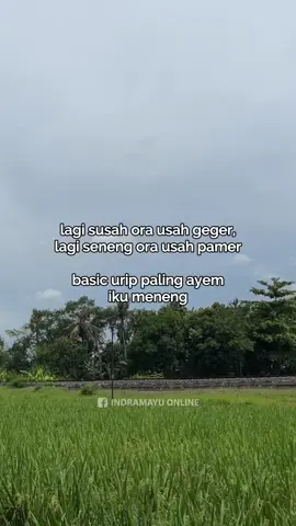 menenga #indramayu #indramayuonline #fypシ゚ #fyppppppppppppppppppppppp 