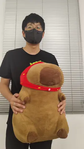 #foryou #pillows #tiktok #toybear 