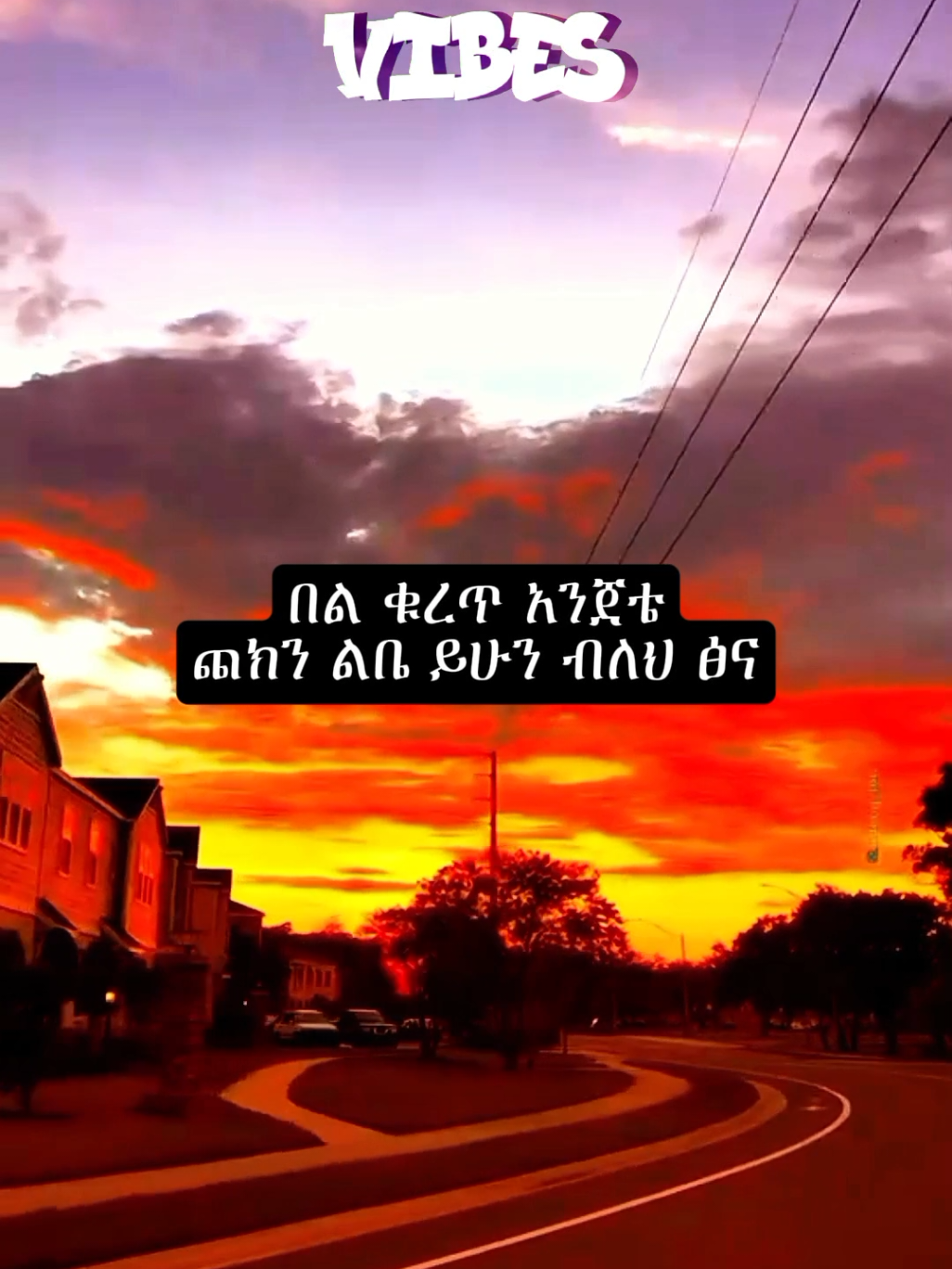 tamrat desta                       #tamratdesta #foryoupage #viralvideos #musiclyrics #ethiopian_tik_tok 