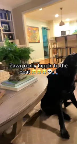 Any questions #donpollo #donpollosound #blud #ohio #meme     