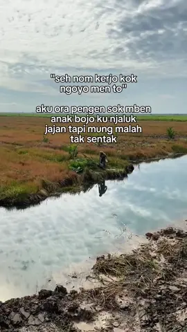 semangat cah ada cita