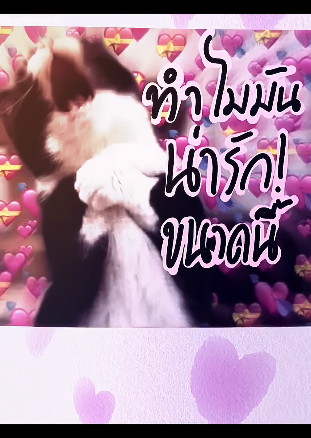 ชอบนะรู้ยัง@(ใครหว่าาา)  •Cr.@kakmanstory #จีบอยู่รู้ยัง #สตอรี่ความรู้สึก #ยืมลงสตอรี่ได้ #เพลง #ฉันชอบเธอนะ 