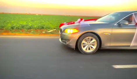 زفتي 😉🫢♥