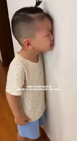 Mắc gì chửi qài zị #nhachaymoingay #xuhuong2025 #foryou #fyp #nhacbolerobuon2 