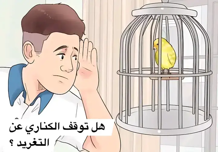 #معلومات #عصافير #كناري #لايكات_الاكسبلور_متابعه #مالي_خلق_احط_هاشتاقات 