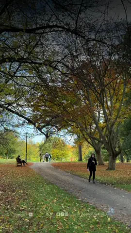 #كلمات #موسيقى #حتى_النظر #عبدالكريم_عبدالقادر_الصوت_الجريح #لندن🇬🇧 