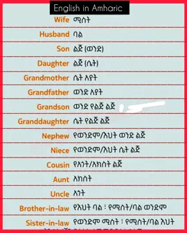 #LearnOnTikTok #englishinAmahric #englishwithmubarek #foryou #vocabulary 