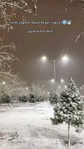 gyş gelayseda çaltjak🥹 #rek #fyppppppppppppppppppppppp #christmas #newyear #tazeyyl 