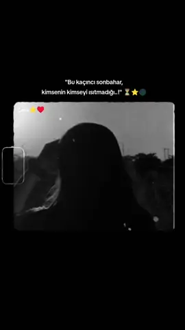 ⏳⭐🌑