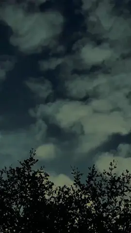 جان ایک بار دیکھاؤ نہ اپنا مما ۔ 😍💖 #plzsupport #vrial_video #fffffffffffyyyyyyyyyyypppppppppppp #dontunderreviewmyvideo #plzdontunderviewsmyvedios #trendingsound #Foryou #onemillionaudition #reposting #everyone #poetrystatus #growmyaccount #fyyyyyyyyyyyyyyyy 