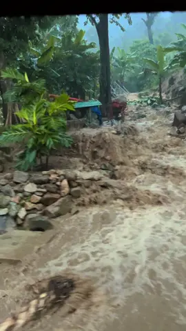 #CapCut #85ninhthuận #85h00476 #xuhuongxetai #xuhuongtiktok  MƯA QUÁ MƯA RỒI @Vi AN MINH HIỆP @Ri nguyễn @Duy Mạnh🐦 @Nguyên 