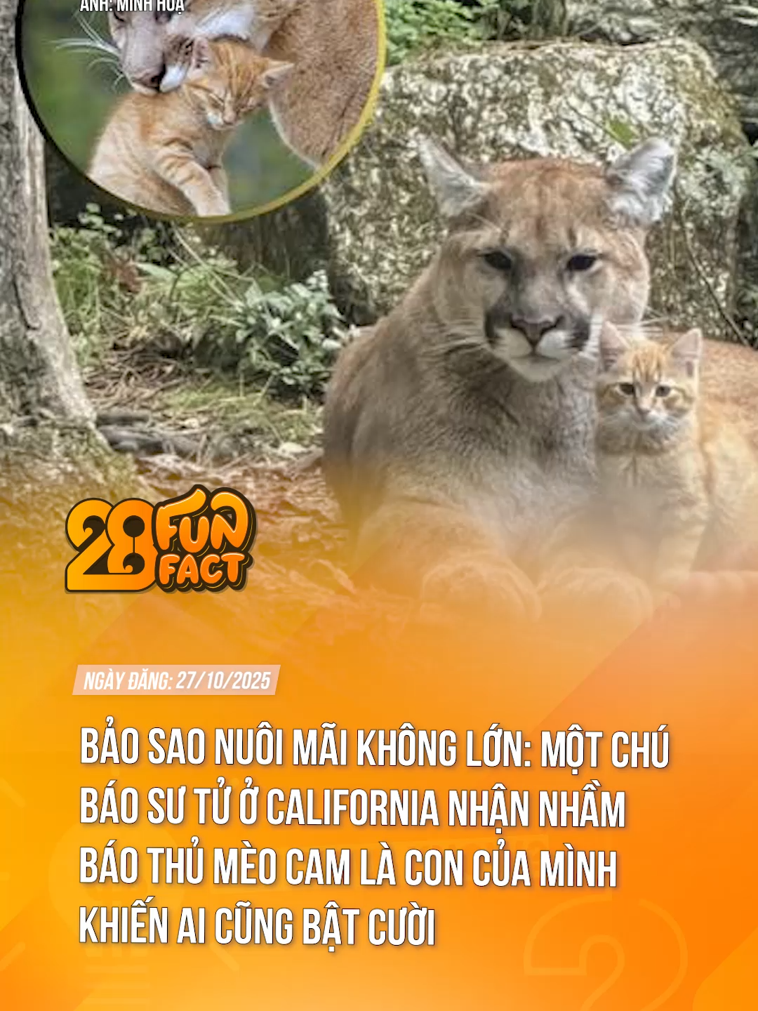 XẢ VAI MỘT CÁI LÀ THÀNH BỮA TRƯA LIỀN  #theanh28 #theanh28funfact #theanh28new #tiktoknews