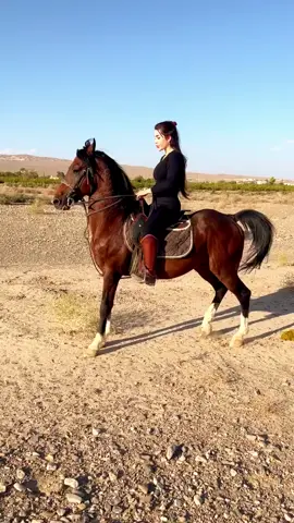 ماشاءالله #ئەسپ_سوارەکانی_کوردستان #like #خيل_وخياله🐎 #ئەکتیڤبن🥀🖤ـہہـ٨ــہ #كوردستان 