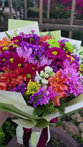 #floriculturadolibanês #foryoupage #fypp #fyyyyyyyyyyyyyyyy 