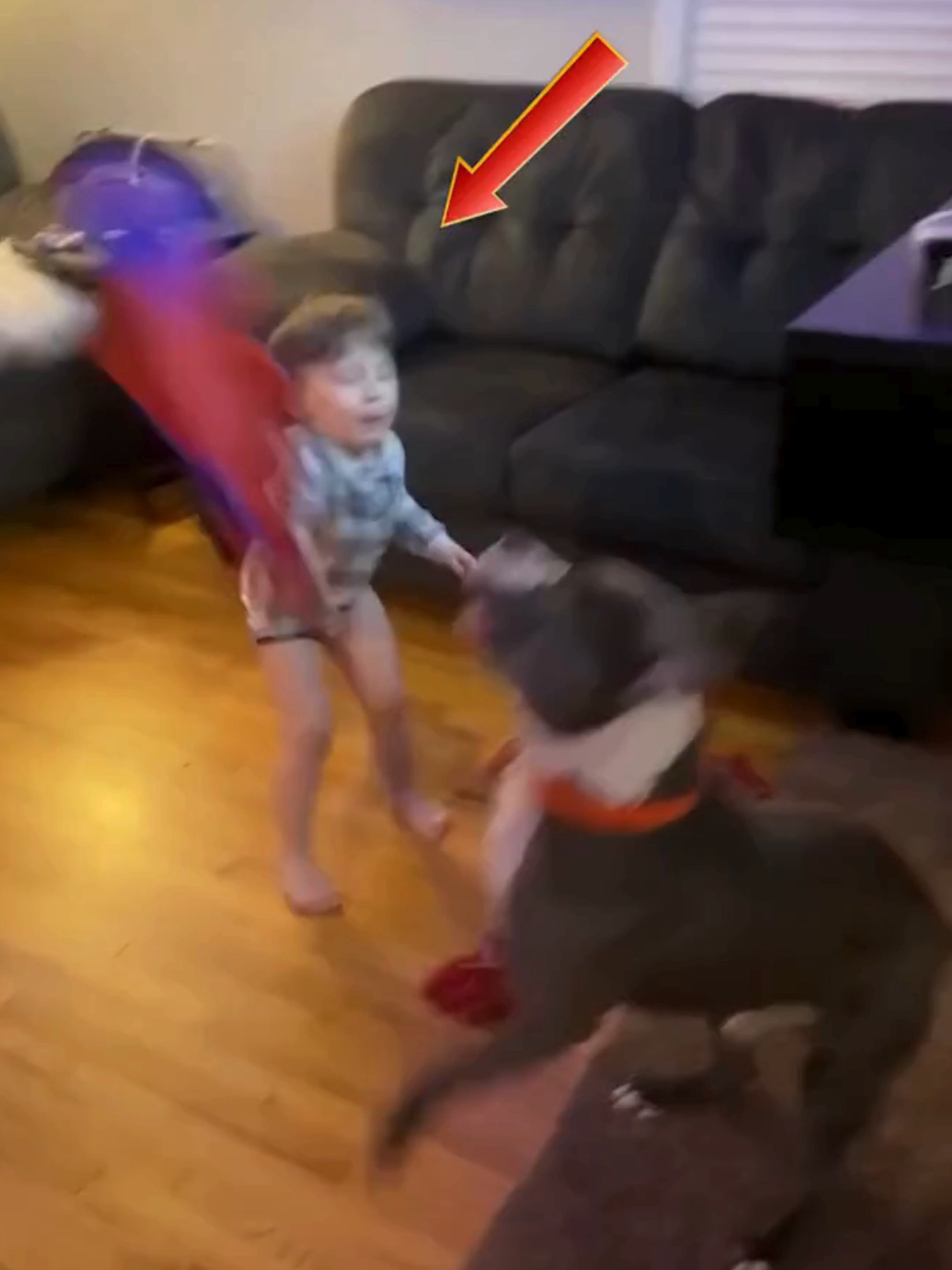 When Dogs Fail 😂 #dog #cutebaby #funnytoddler