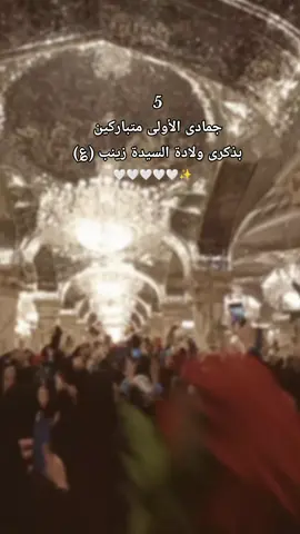 متباركين 🥹🩷🩷🩷.  #5جمادى_الاولى_ولادة_السيدة_زينب_الكبرى #تصويري #شعب_الصيني_ماله_حل😂😂 #ترندات_تيك_توك #النجف_الأشرف 