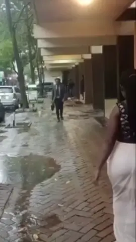 Song Name: Nyt and Day 