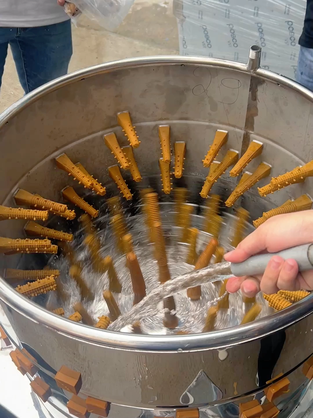 Làm sạch chân giò trong giây lát bằng máy vặt lông gà siêu tiện lợi #thietbinhabep #mayvatlonggavit #dienmaybigstar