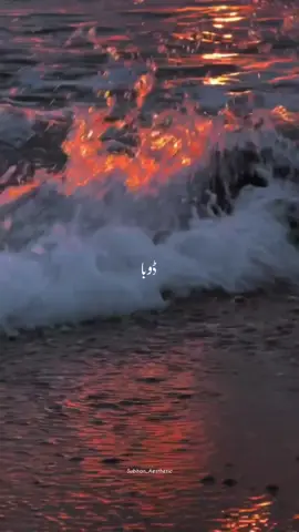 Banjarapun 🫠🌷 -OST (Jin Ki Shadi Un Ki Shadi) ||Repost Request||•~👈🏻#foryoupagе #subhan_aesthetic #1milion #lovesong 