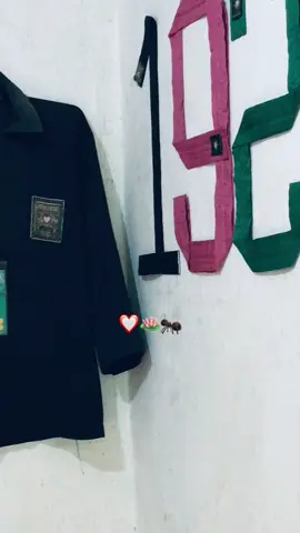 #masukberandamuu #pshtpusatmadiun #shteratepusatmadiun #1922🐜 #trending 