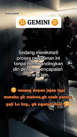 Gemini matree ???                         #zodiacsign #geminizodiac #fypage #fyp #foryou 
