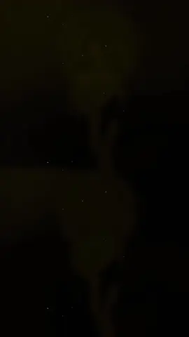 在这嘈杂的世界里，你是我唯一的安静和温柔。 “Trong thế giới ồn ào này, em là sự yên bình và dịu dàng duy nhất của anh.”   #legsthatwontwalk #xhuonggggg🐰 #fypシ #minhyuk #xhhhhhhhhhhhhhhhhhhhhhhh 