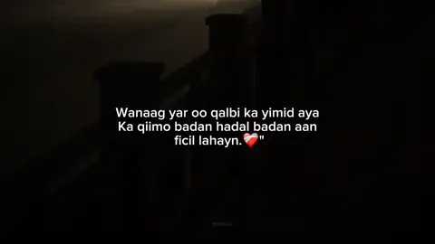 #fypviral #fyシviral #maahiz #foryoupage  #creatorsearchinsights 