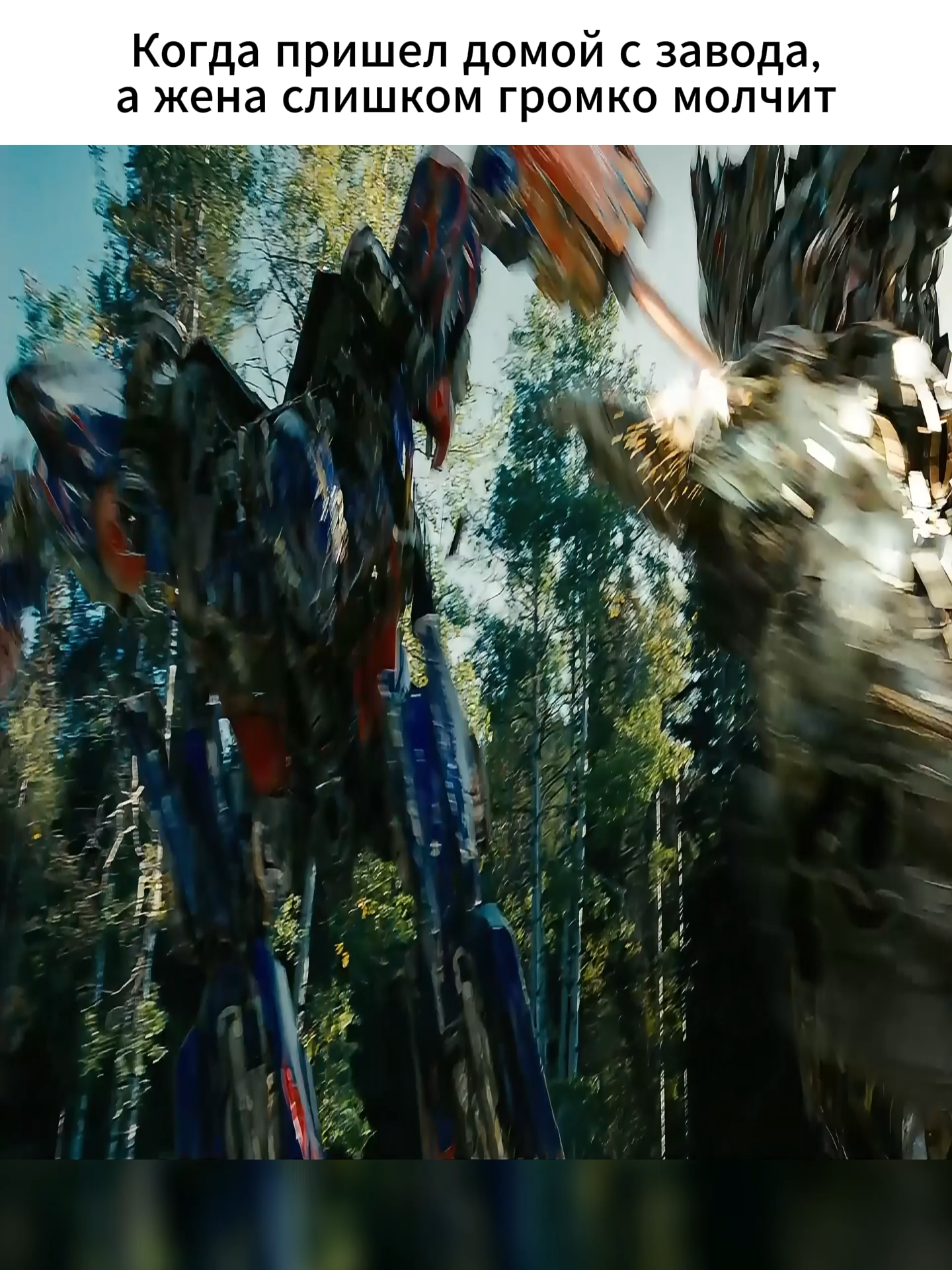 #трансформеры #мем #настольгия #жена