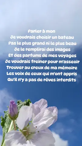 Parler à mon père, Lyric,Celine Dion #pourtoi #songs #lyric #lyrics_songs #flowers 