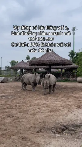 #VinWonders #GreenCreator #dulich #211mvpu #vinwondersvuyen 