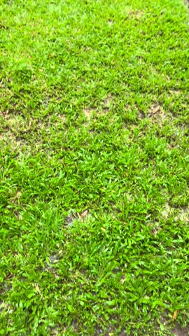 Curug sanghyang taraje #wisatagarut #airterjun #garutpride🔥 #xybca #fyppppppppppppppppppppppp 