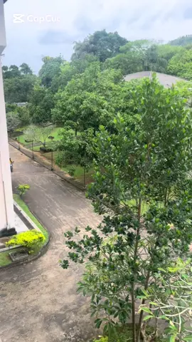 #CapCut #lunch #lunumirisa 