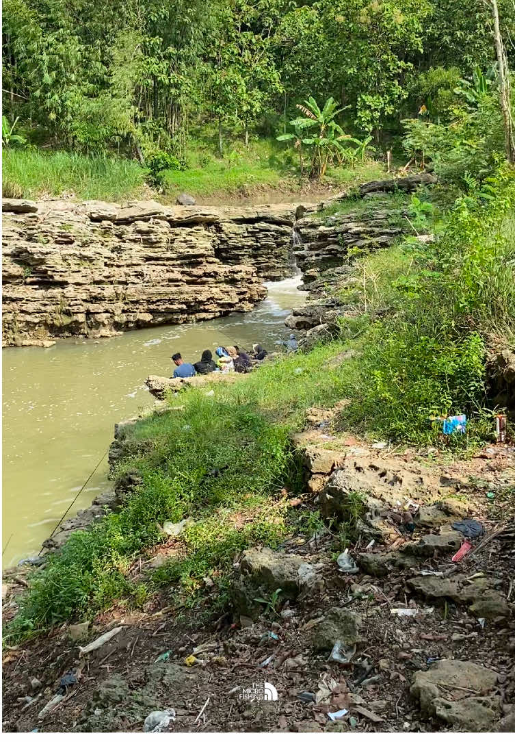 Spot lama sudah kembali✨ #MicroPushing #kontenmancing #videomancing #fyp #mancing 