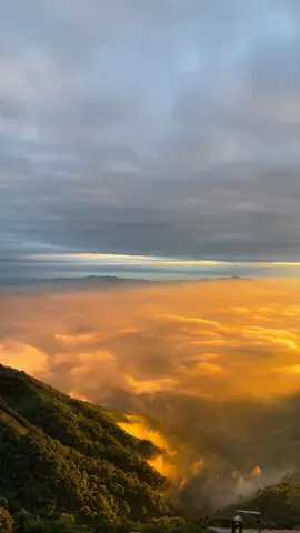 Mình sống ở đây quanh năm nhưng vẫn ngỡ ngàng trước vẻ đẹp này. Tà Xùa 27/10/2025 . #taxua #tiktok #hoanghon #tiktokviral 