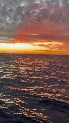 Đời cũng giống như quyển sách vậy mở ra là câu chuyện khi mà gấp lại thì sẽ kết thúc! 