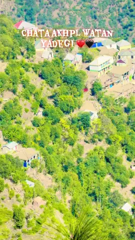 Zyar mazigar shoghlishoghli de musafara way way#🥀❣️🦋😘fypシforyoupage #fypシppppppppppppppppp #ppppppppppppp💔🖤👌 