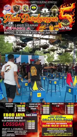 Ada Apa Bandung‼️Murai Batu Tiket 2,6jt #muraibatu #muraibatuindonesia 