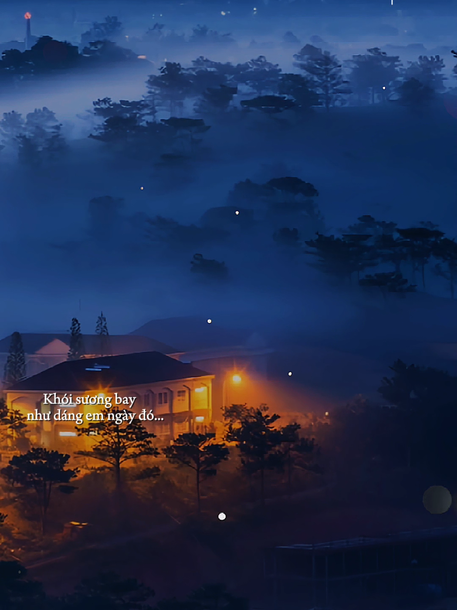 Khói sương bay như dáng em ngày đó... #dalatconmuakhongem  #nhacbuontamtrang  #tramcamxuc💔  #maucapcut  #tramnhacc 