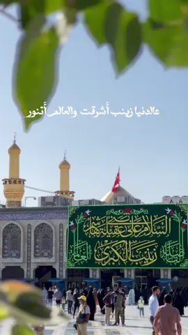 ٥/جمادي_الأولى_ولادة_السيده_زينب #باسم_الكربلائي  #كربلاء_المقدسة  #ميرزا🍂 