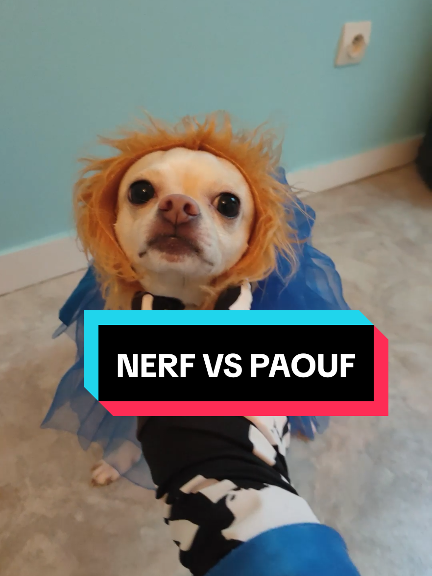 @҉R҉ф҉D҉  abonné vous à mon monteur pour avoir un montage de qualité 😎 🎯 Aujourd’hui… c’est la guerre 🫣 Paouf m’a encore volé ma chaussette, alors j’ai sorti les gros calibres (aka les Nerf 😎). Entre esquives, roulades et fous rires, qui va gagner ce combat légendaire ? 👀 #realcreator #paoufvsmoi #nerf #battle #humour 