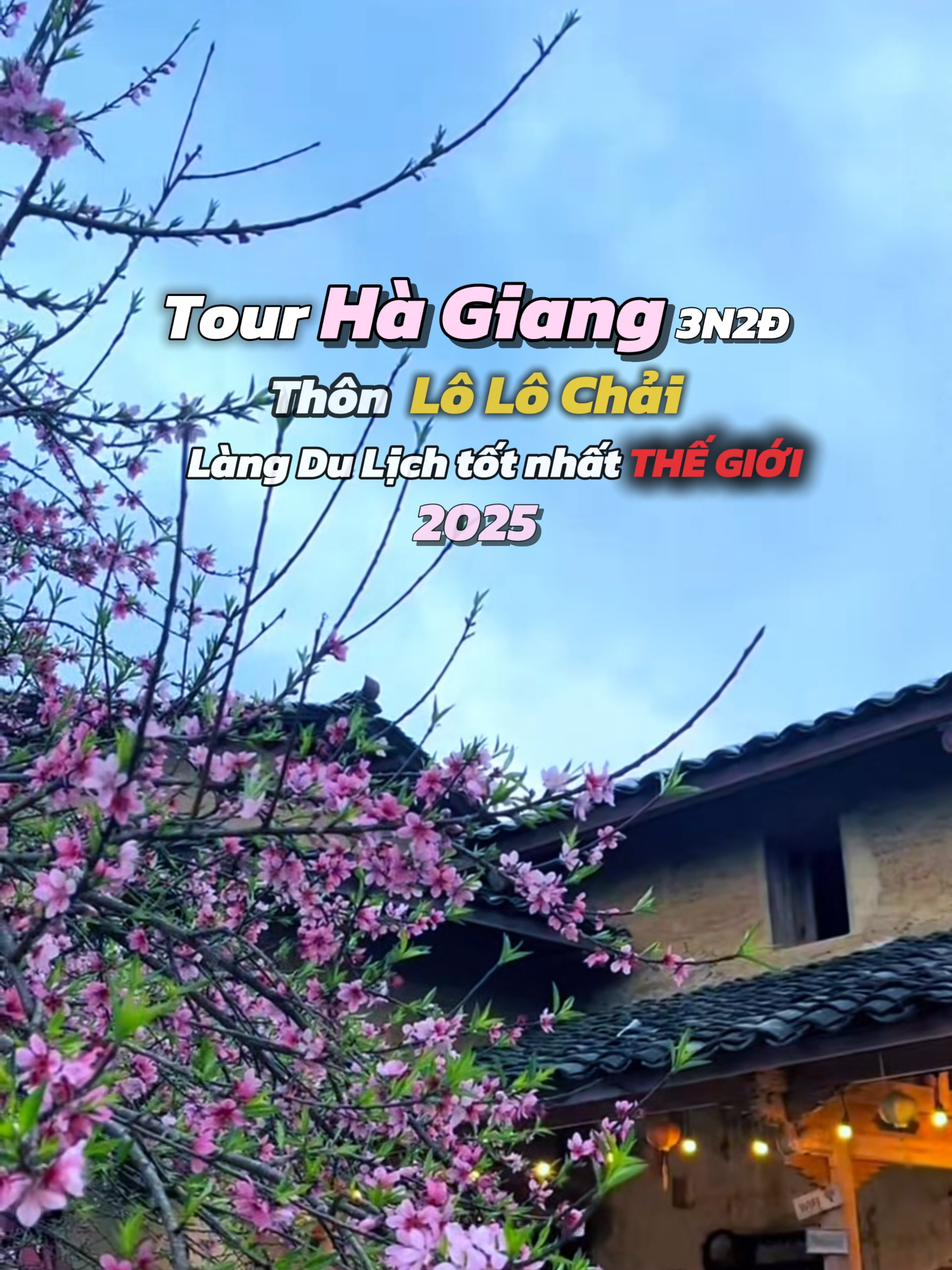 Lô Lô Chải - Hà Giang lọt Top Làng du lịch tốt nhất thế giới. Hãy đi trải nghiệm ngay cùng Mộc với Tour Hà Giang 3 ngày 2 đêm tuyệt vời. #hagiang #lolochai #moctourist #dulich #xuhuong