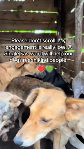 How are you, friend? I hope God keeps you safe, but my friend, I'm not sick, but I'm sorry for not helping. But I found that I didn't have enough capacity to help with what I've been asking for, like below in  food,  treatment etc. Good luck 🙏😭😭 please visit our link in bio for any assistance thanks you 🙏🙏🙏🙏