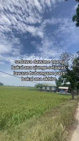 bener bli cah #promomakangajian #tugupride🏴‍☠️ #indramayupride🏴‍☠️ #indramayu_taiwan #tuguamnesia 