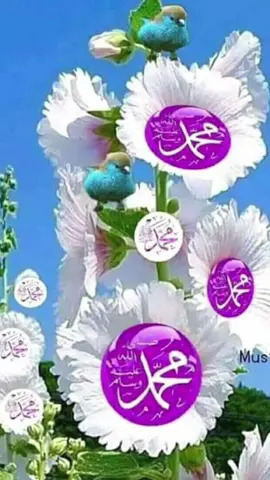 #🤲🤲🤲🤲🤲🤲🤲🤲🤲🕋🕋🕋🕋🕋🕋🕋🕋 #🕋🕋🕋🕋🕋🕋🕋🕋🕋🕋🕋🤲🤲🤲🤲🤲🤲🤲🤲🤲🤲🤲🤲🤲 