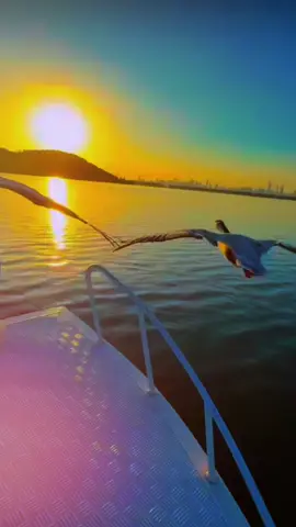 #Bomdia #pravocê #fy  