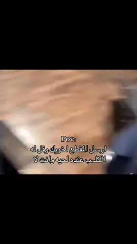 #explore #ضحك #اكسبلور #fyp 