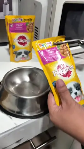 Check niyo na sa yellow basket! 💛🐶 Kori-approved dinner time with Pedigree wet food ✨ #CorgiEats #corgi #PedigreePH #corgisoftiktok #fyp 