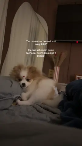 A fraldinha 🤏🏼🫶🏻